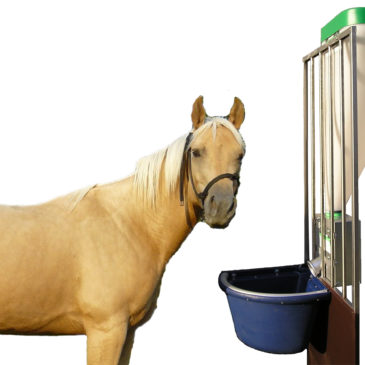 Automatic feeders for horses