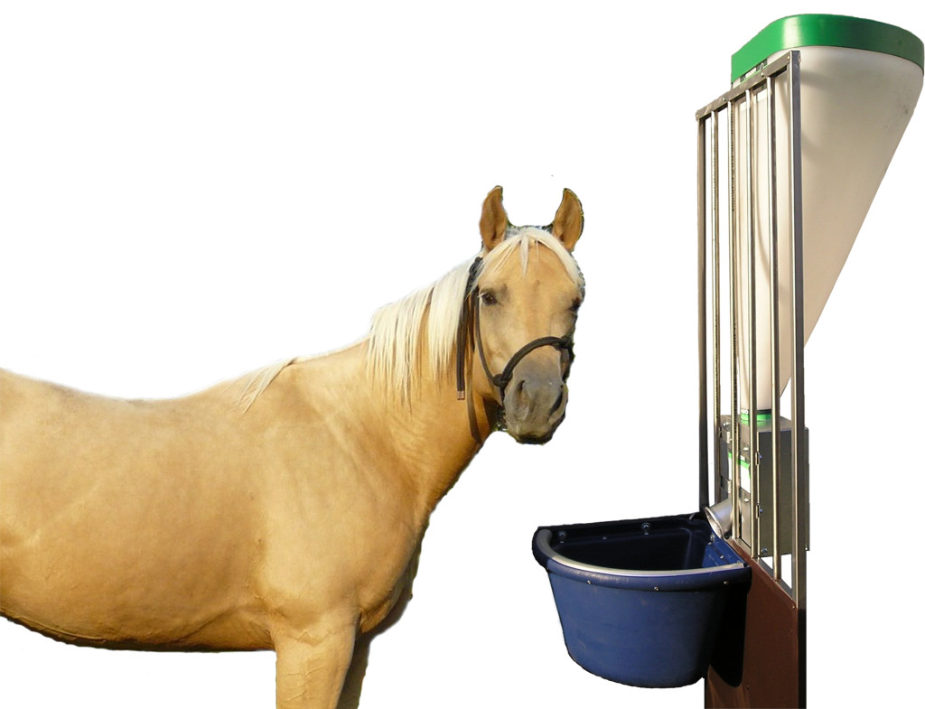PERRY Equestre triangolare Mangime Mangiatoia stabile Cortile Cavallo Pony Feeder D13 